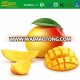 frozen mango fruit price with high quality