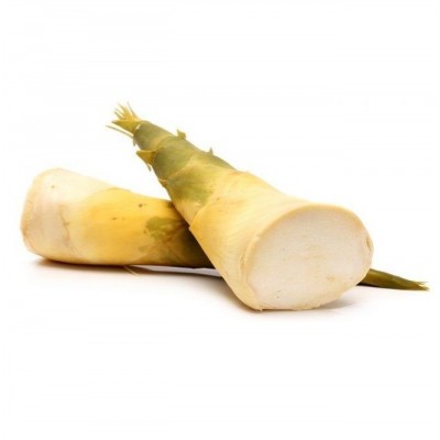 WHOLESALE FRESH BAMBOO SHOOT IN BULK (Whatsapp: +84 845 639 639)