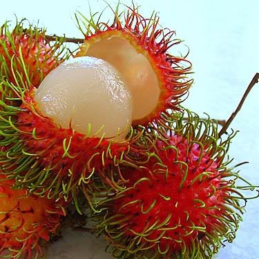 FRESH FRUIT/ RAMBUTAN / FRESH RAMBUTAN / SWEET RAMBUTAN Whatsapp +84 845639639