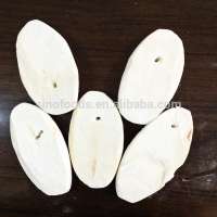 hai piao xiao dry cuttlefish bones cuttlebone for birds