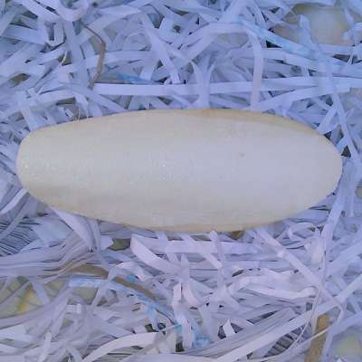 Bulk Pack Natural Cuttlebone For Birds and Reptiles